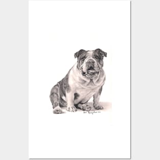 Bulldog Posters and Art